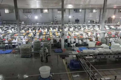 湖北食品廠根據生產計劃,為滿足生產需求,現面向社會招收一批季節性員工