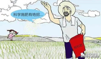源沃肥業提示 冬季土壤翻耕與施用有機肥