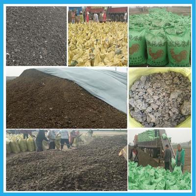 山東菏澤干雞糞|雞糞價格|臨沂干雞糞廠 綠沃肥業_石家莊綠沃肥業