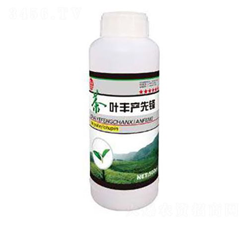 茶葉豐產先鋒 泰玉肥業
