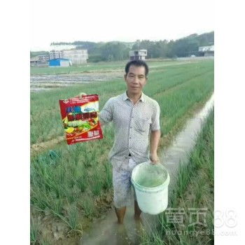【為峰肥業膨果鉀寶,高含量沃根膨果鉀寶廠家直銷】- 