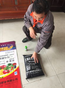 河北商貿學校