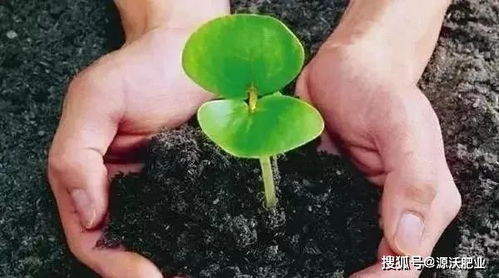 源沃肥業提示 微生物菌肥不光用,還得養 附方法