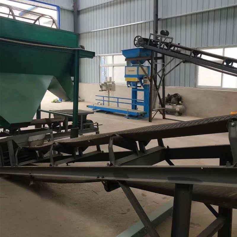 �͑�����