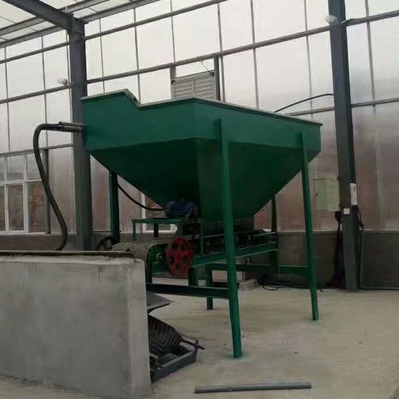 �͑�����