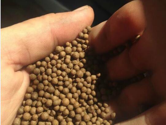 Ģ�������׽ն�ţ�S�ЙC���w��