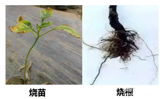 �r(n��ng)����ȱ̼��Σ������Щ