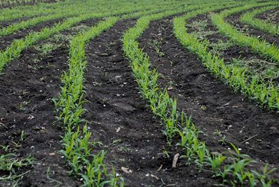 �S�����ʩ�������ЙC(j��)��