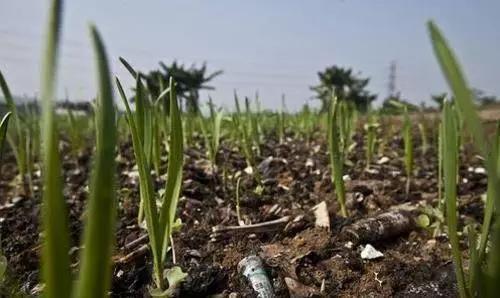 ��ʲôʹ�þ���Ч��������