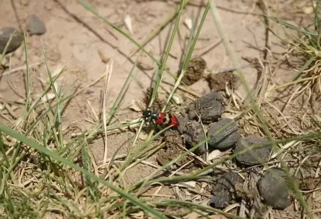 �P(gu��n)�����ݼS������P(gu��n)֪�R