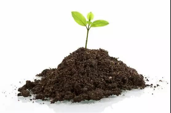  ������Y(ji��)�ǲ�ʩ������Ć���