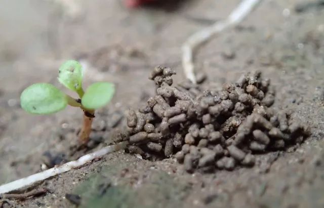 ���S����Ҫ���c