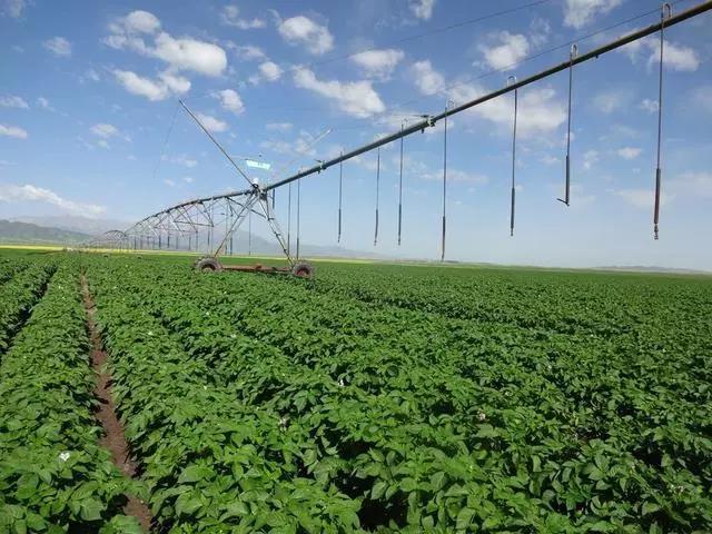 ������ŕ�׌��������Y(ji��)����