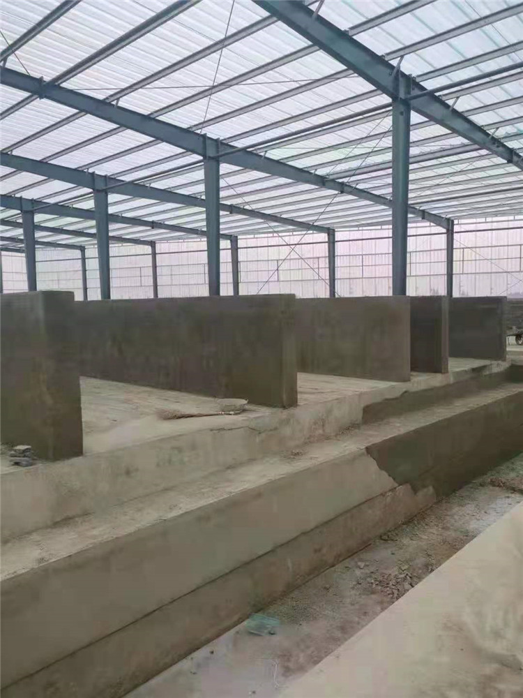 �����C�l(f��)�Ͳ�