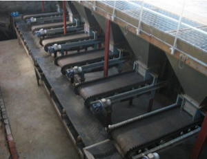 �ӑB(t��i)�Ԅ����ϙC